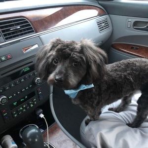 Meet your Posher, Kayleigh